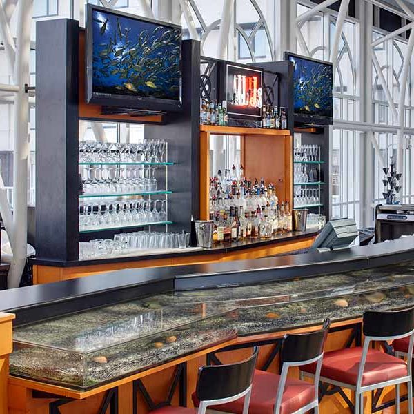 Al J's Conservatory Bar with live fish tank bar and two TVs